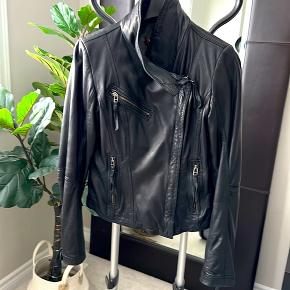 Daniel Leather Moto Jacket - Picture 1 of 10